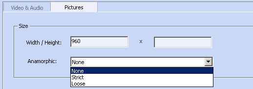 modify output video size