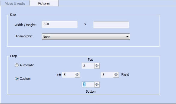 picture settings for dvd to iphone 5s conversion