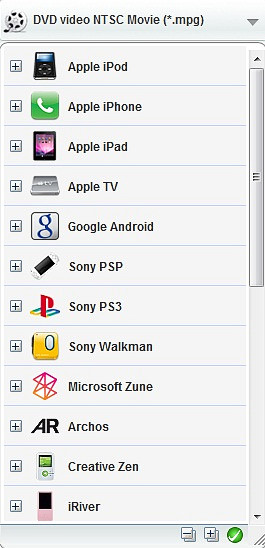 Output options of Any DVD Converter